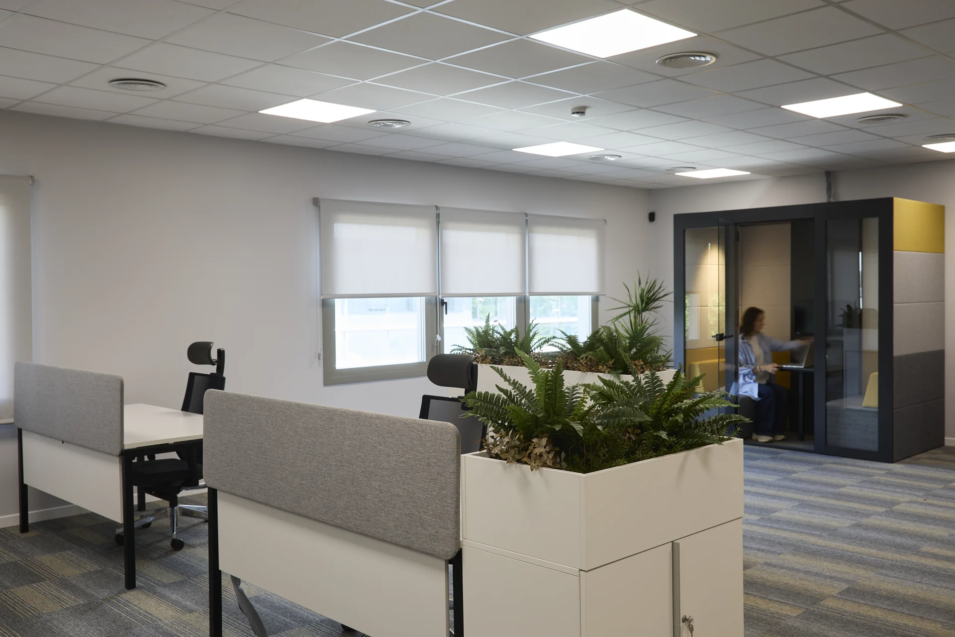 Reforma oficinas Interroll by Wholecontract