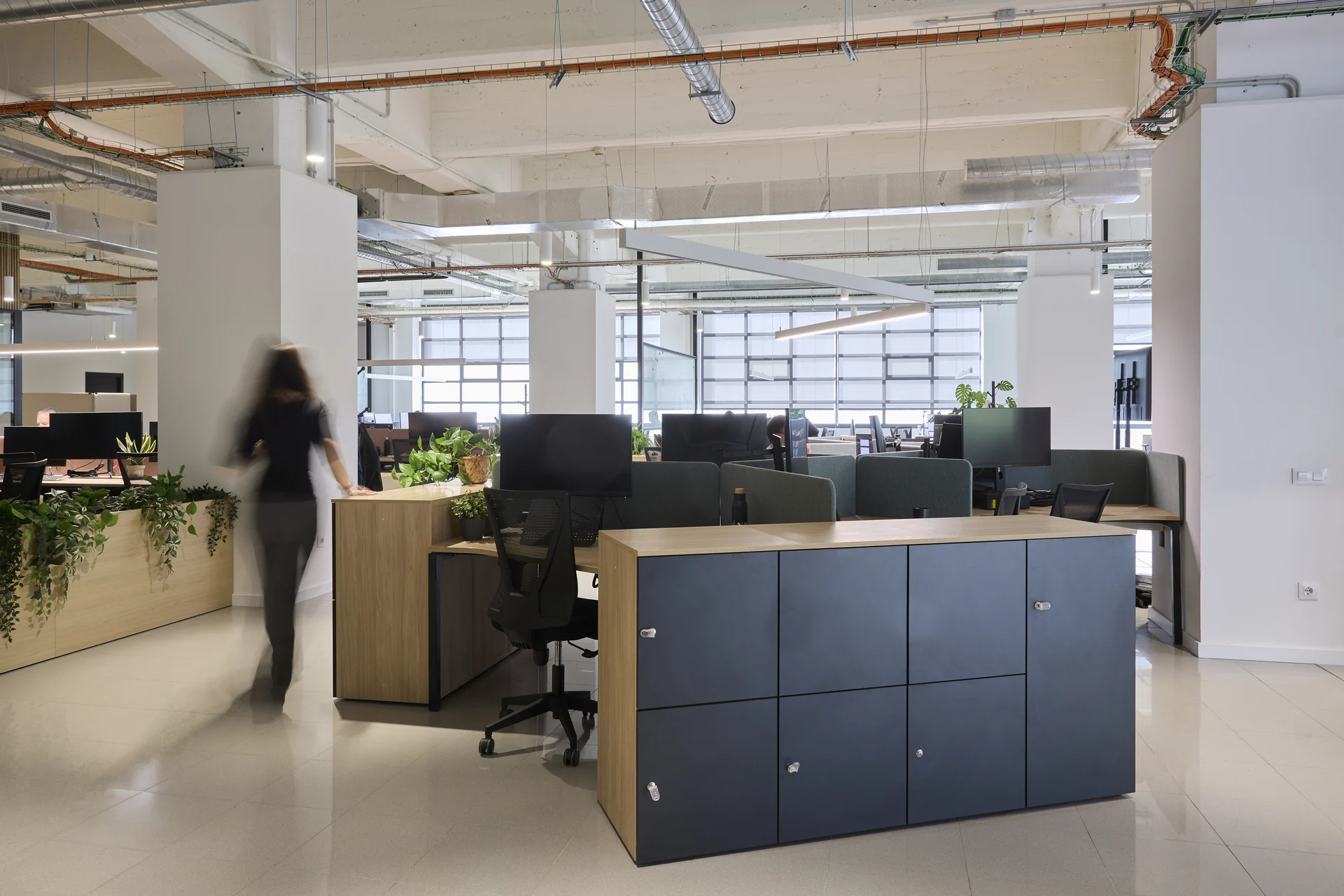 Diseño de oficina Qilimanjaro by Wholecontract