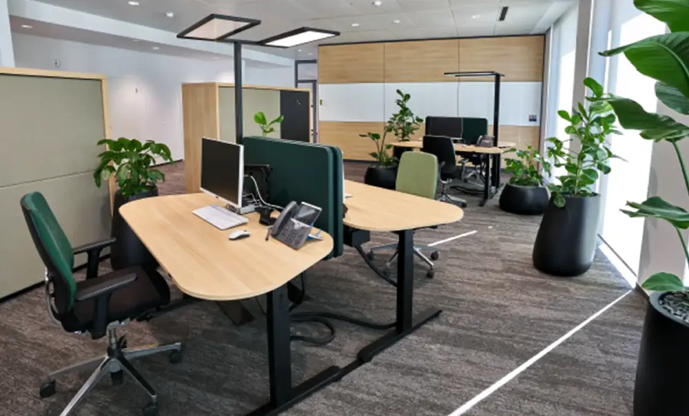 Conceptos de la oficina actual