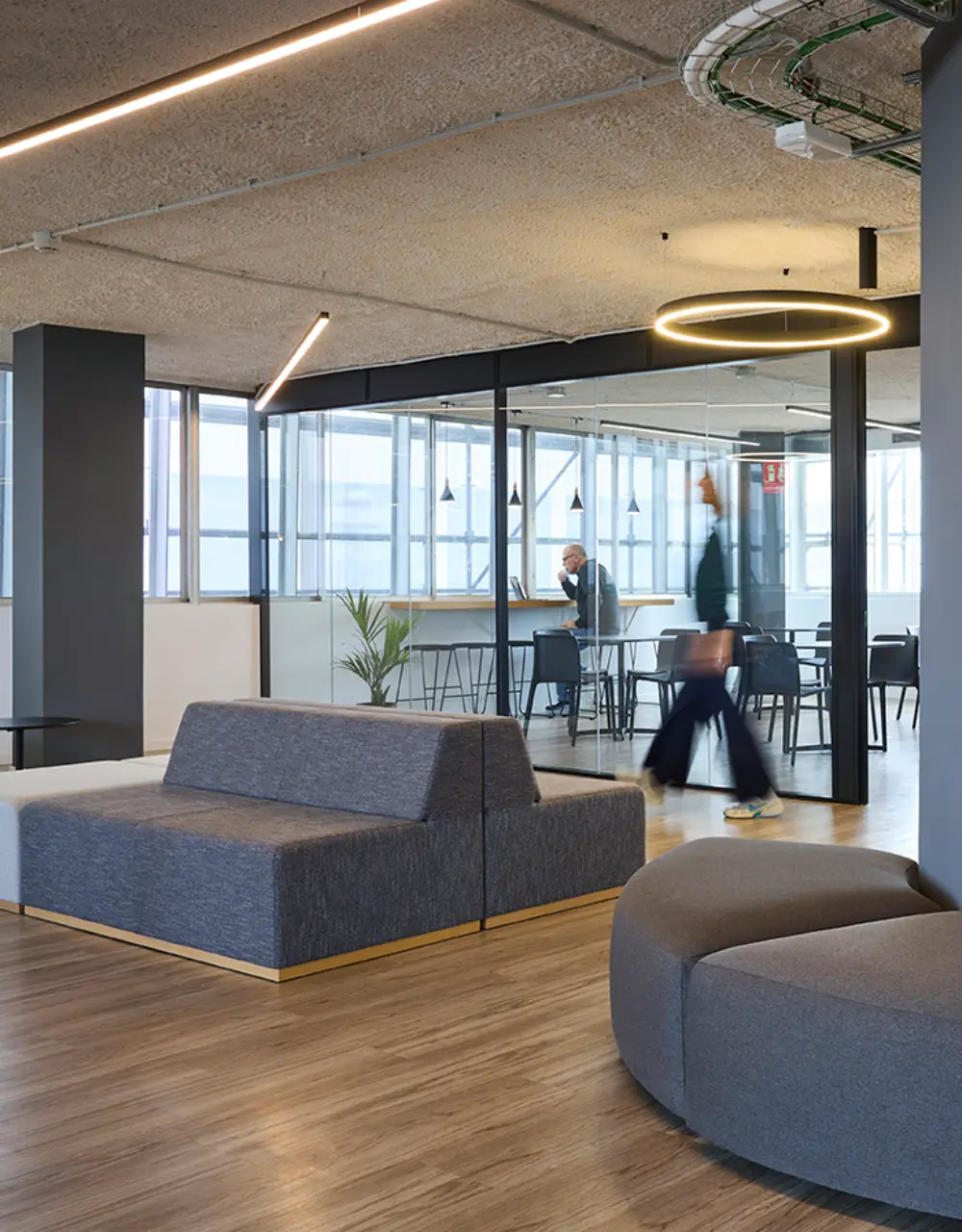 Rehabilitación oficinas Shinko by Wholecontract